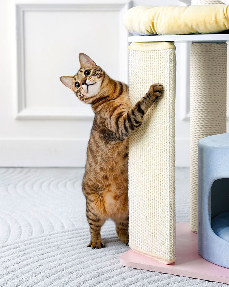 Mousse Modern Large Cat Tree with Scratching Posts