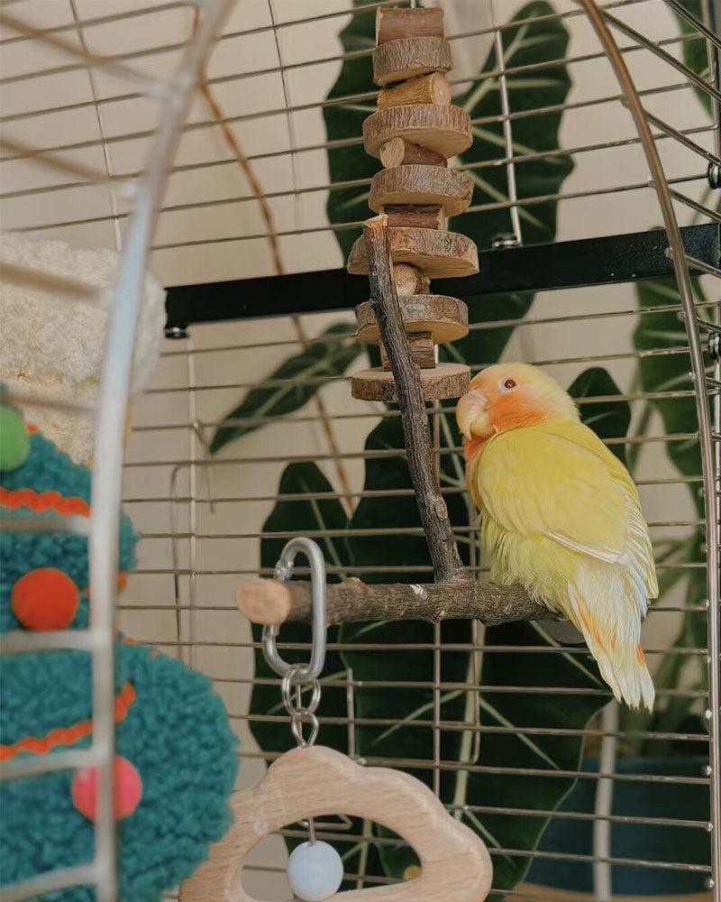 Natural Apple Wood Parrot Perch Stand