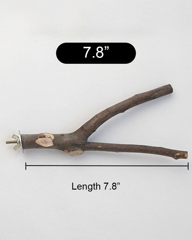 Natural Apple Wood Parrot Perch Stand