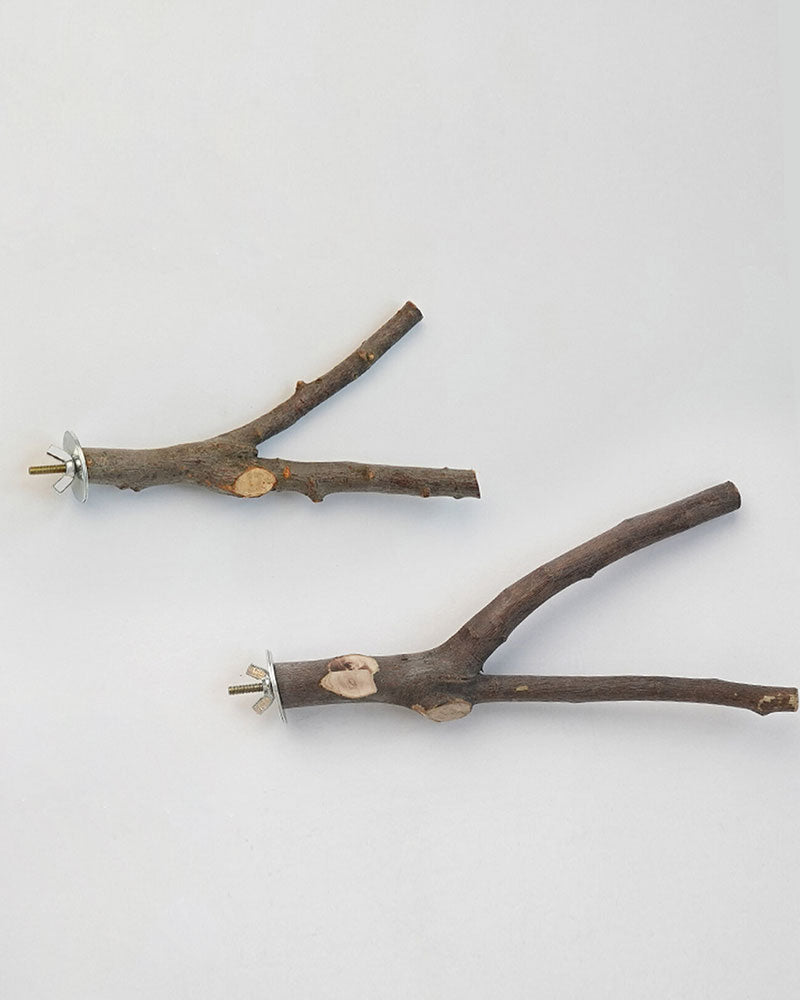 Natural Apple Wood Parrot Perch Stand