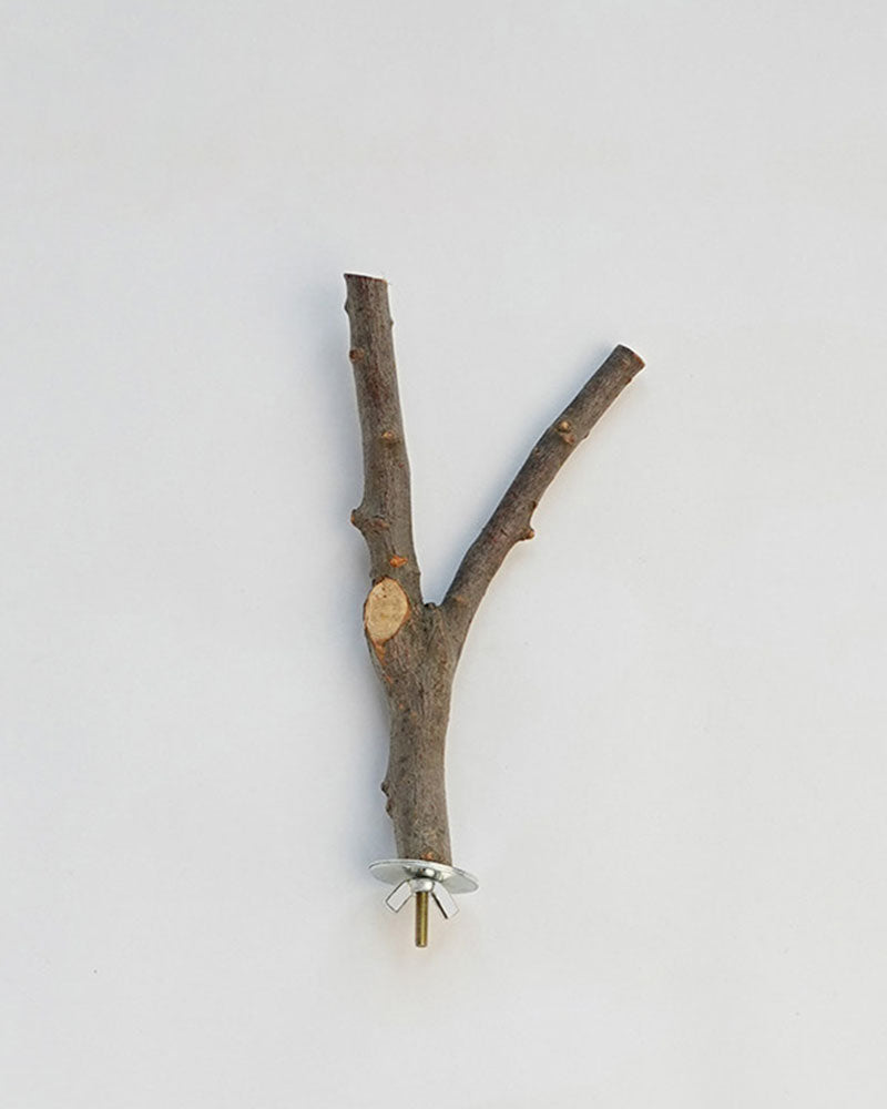 Natural Apple Wood Parrot Perch Stand