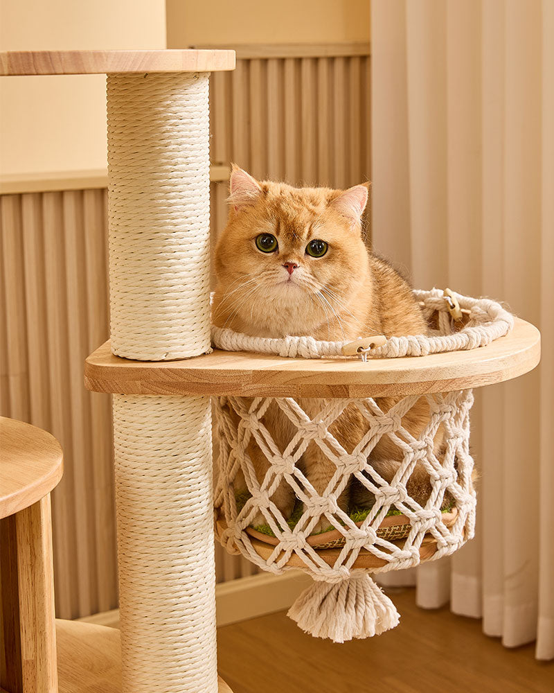 Nature-Inspired Jungle Cat Tree Medium