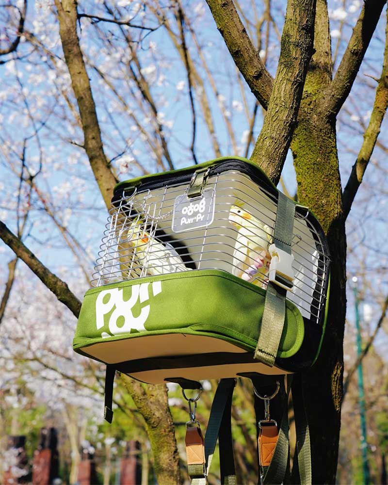 Portable Parrot Backpack Bird Carrier Cage