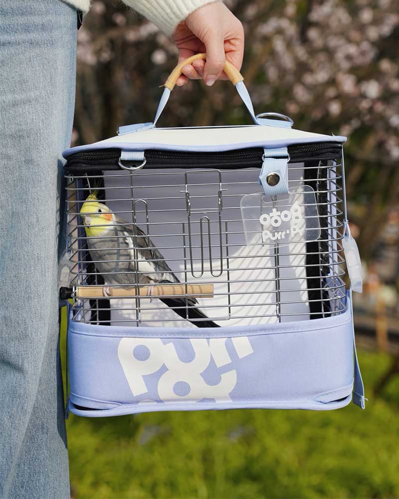 Portable Parrot Backpack Bird Carrier Cage