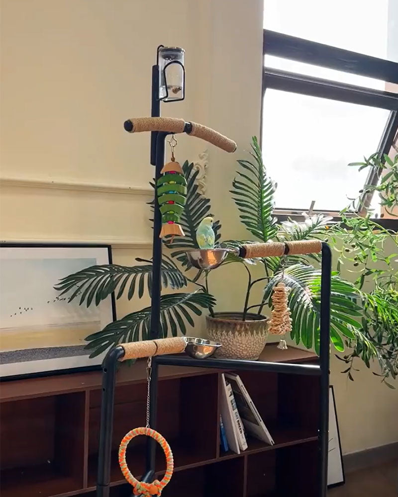 Premium Iron Bird Stand for Parrots