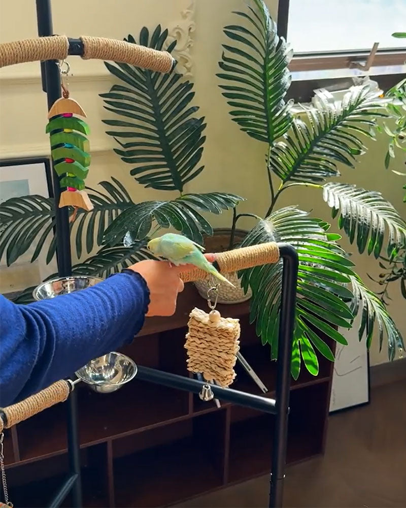 Premium Iron Bird Stand for Parrots
