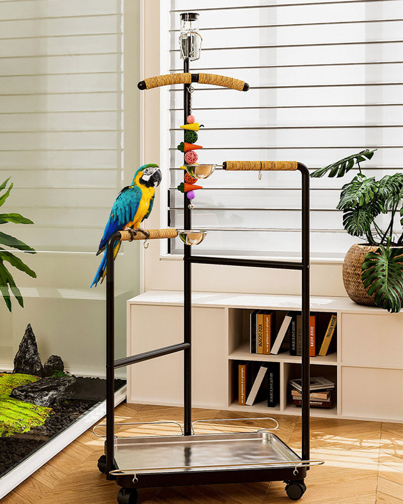 Premium Iron Bird Stand for Parrots