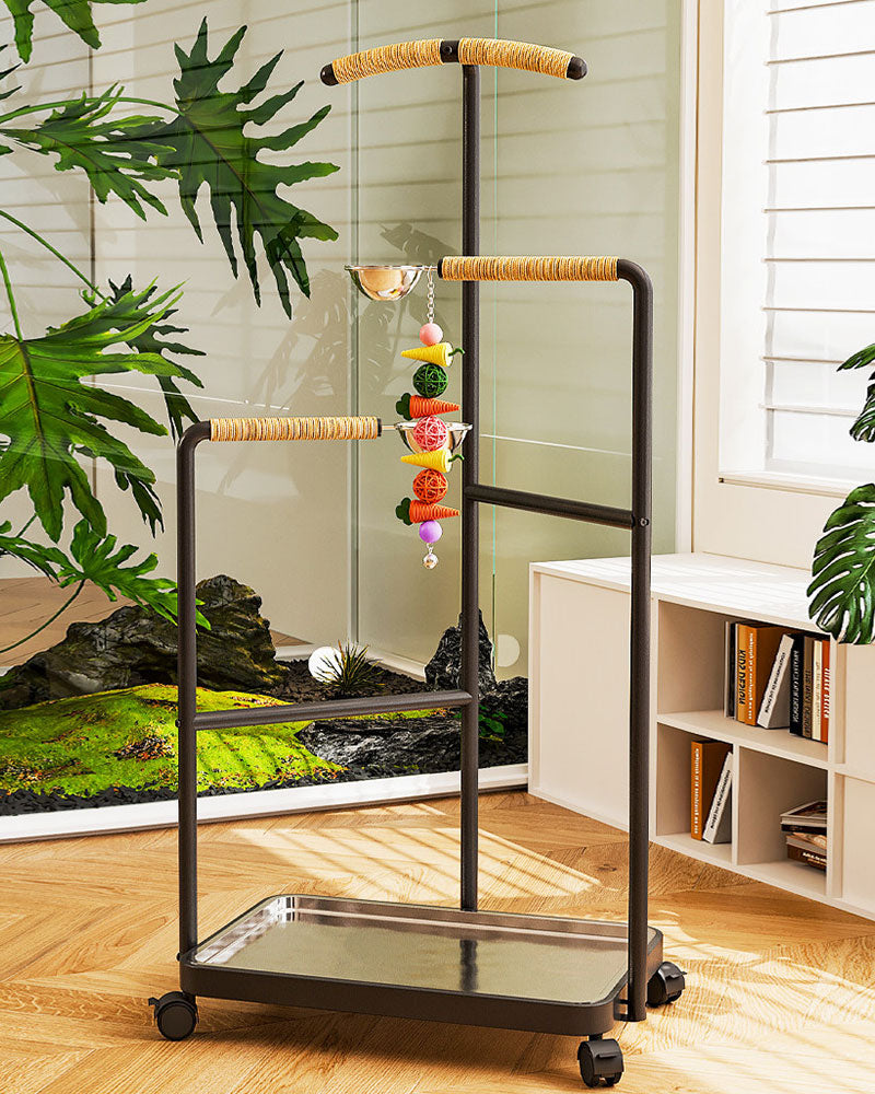 Premium Iron Bird Stand for Parrots