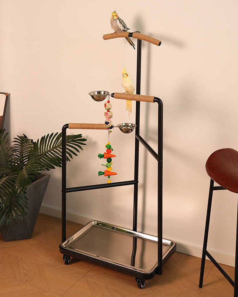 Premium Iron Bird Stand for Parrots