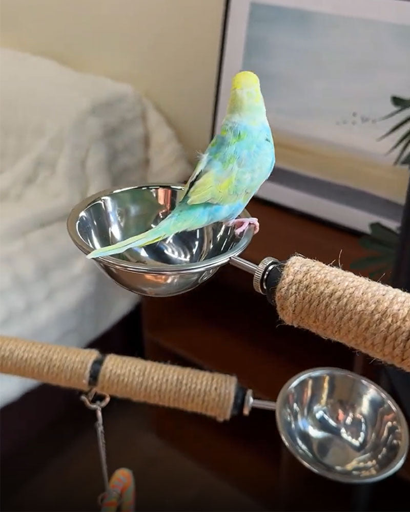 Premium Iron Bird Stand for Parrots