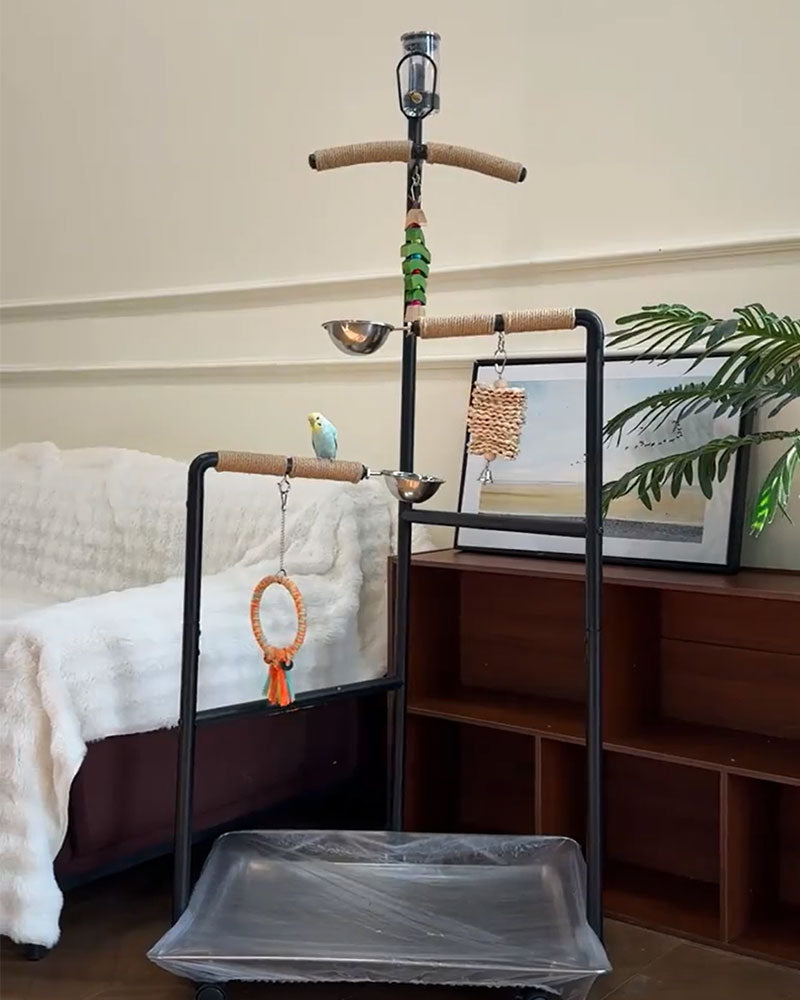 Premium Iron Bird Stand for Parrots