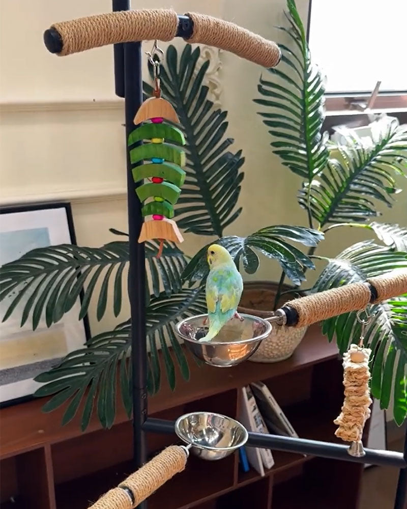 Premium Iron Bird Stand for Parrots