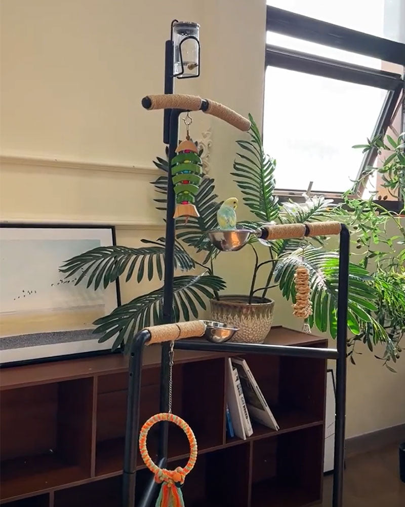Premium Iron Bird Stand for Parrots