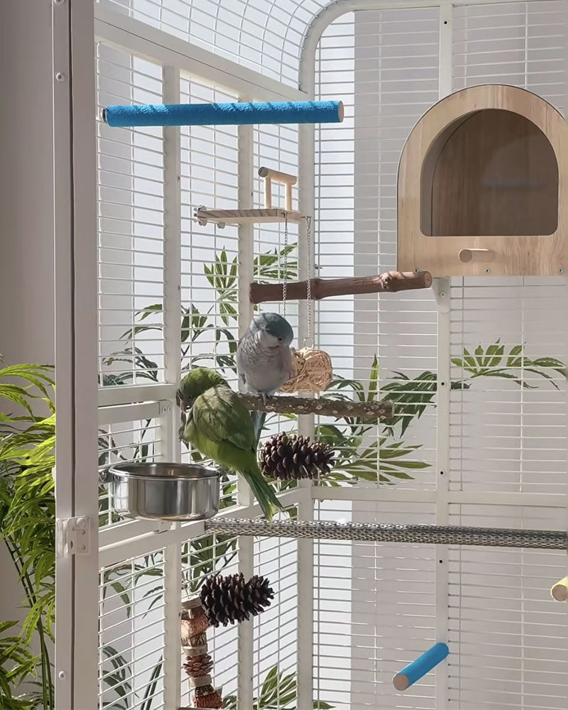 Premium Large Panoramic Aviary Villa for Birds