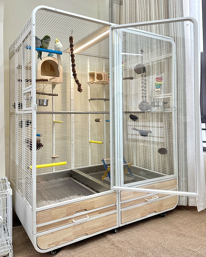 Premium Large Panoramic Aviary Villa for Birds