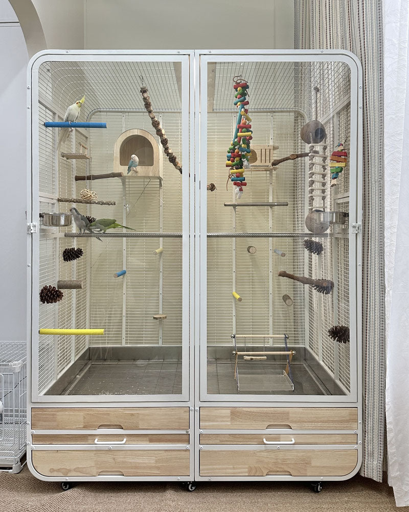 Premium Large Panoramic Aviary Villa for Birds