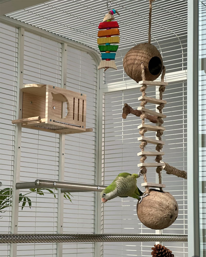 Premium Large Panoramic Aviary Villa for Birds