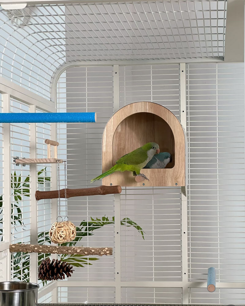 Premium Large Panoramic Aviary Villa for Birds