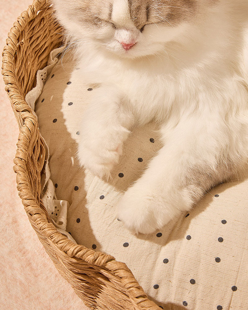 Rattan Shell Semi-Enclosed Cozy Cat Bed