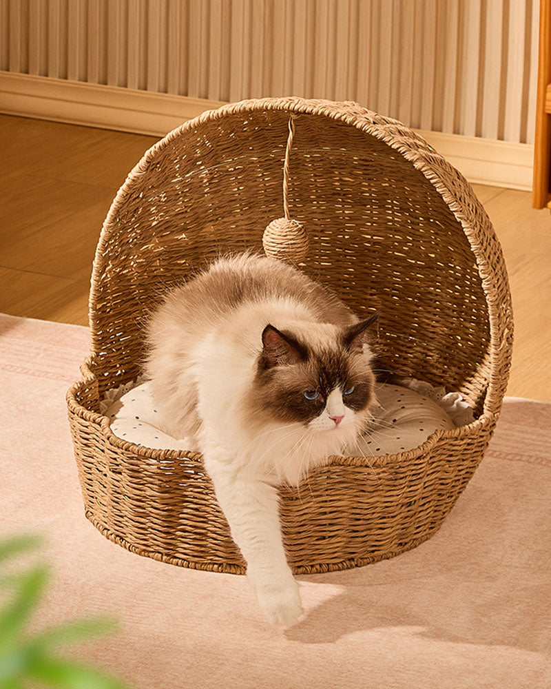 Rattan Shell Semi-Enclosed Cozy Cat Bed