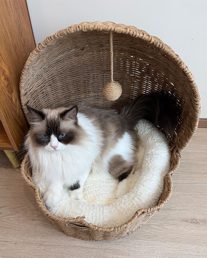 Rattan Shell Semi-Enclosed Cozy Cat Bed
