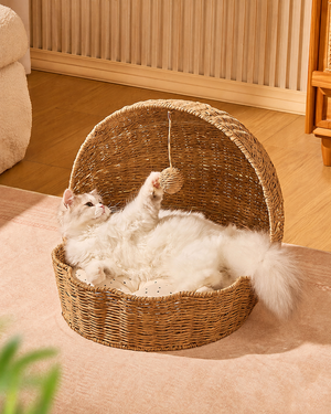 Rattan Shell Semi-Enclosed Cozy Cat Bed