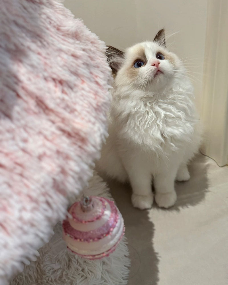 Snowy Holiday Pink Christmas Tree Cat Tower