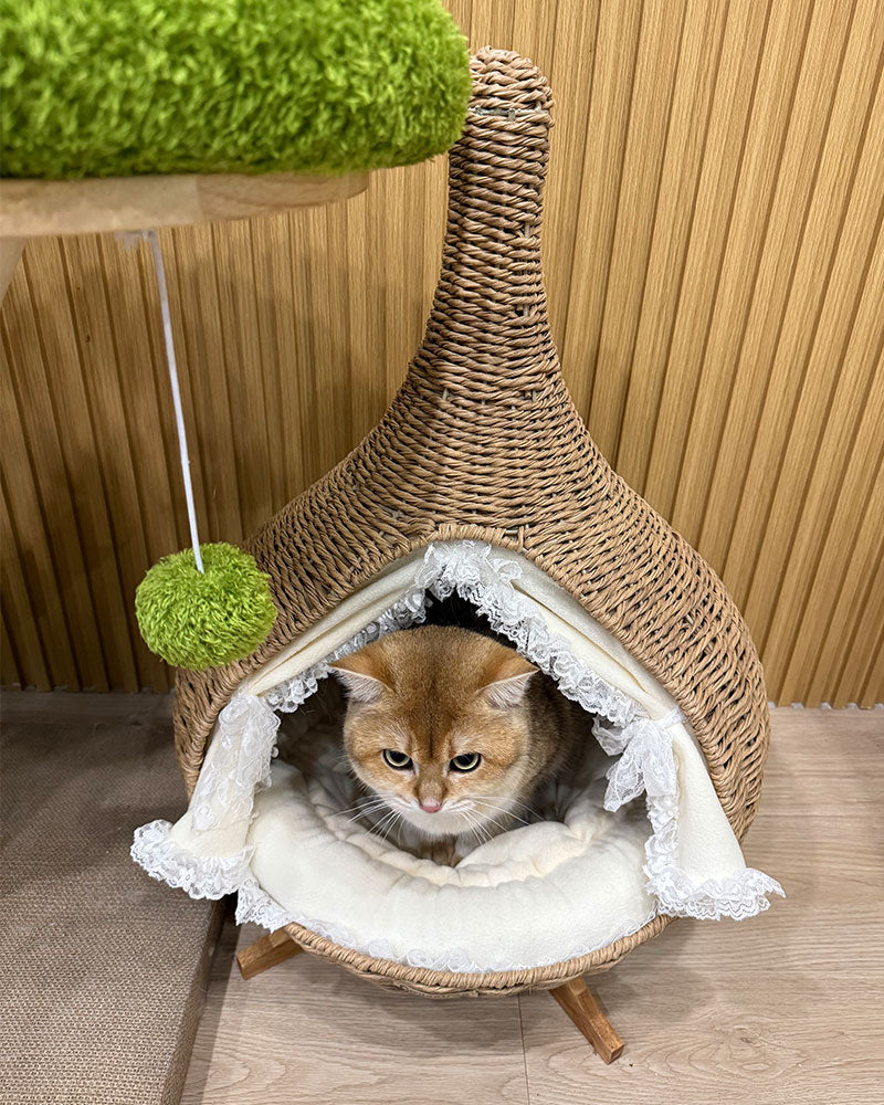 Stylish Teardrop Woven Elevated Cat Bed