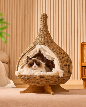 Stylish Teardrop Woven Elevated Cat Bed