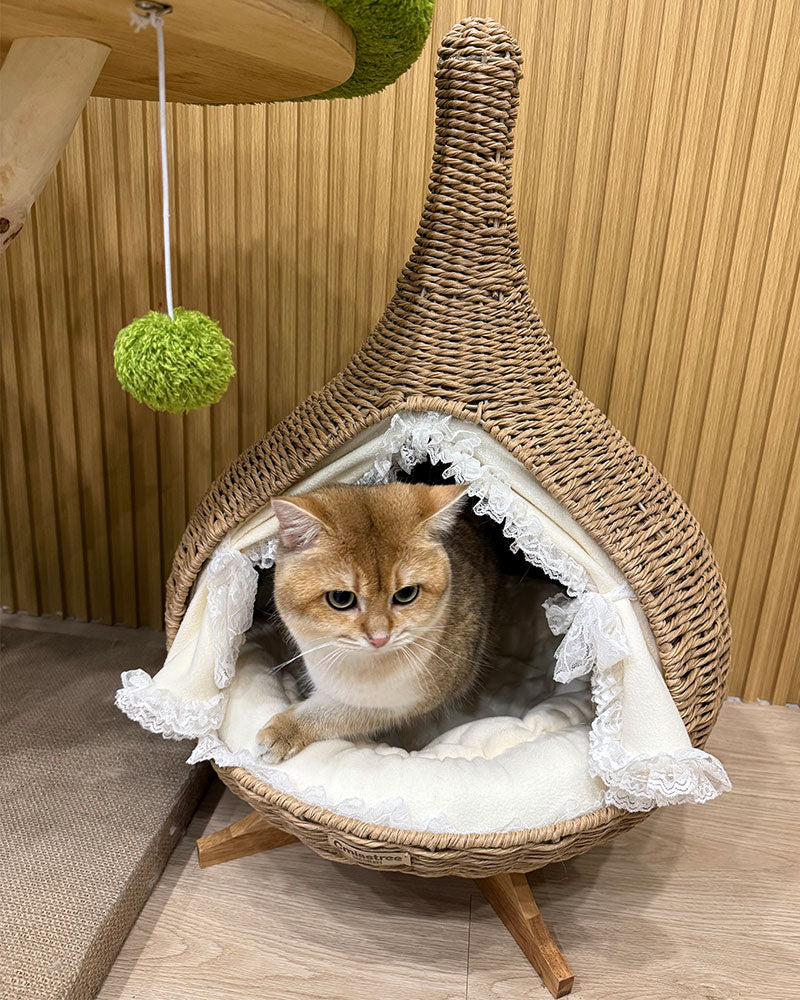 Stylish Teardrop Woven Elevated Cat Bed