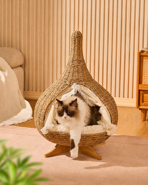 Stylish Teardrop Woven Elevated Cat Bed