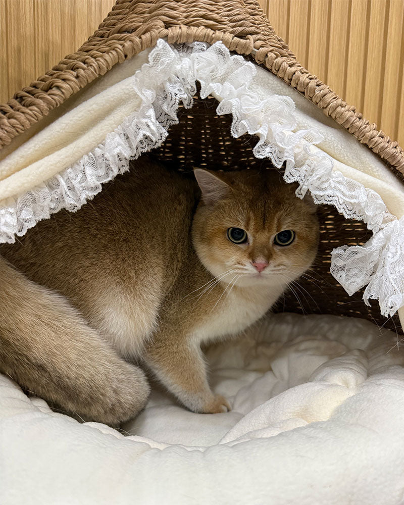 Stylish Teardrop Woven Elevated Cat Bed