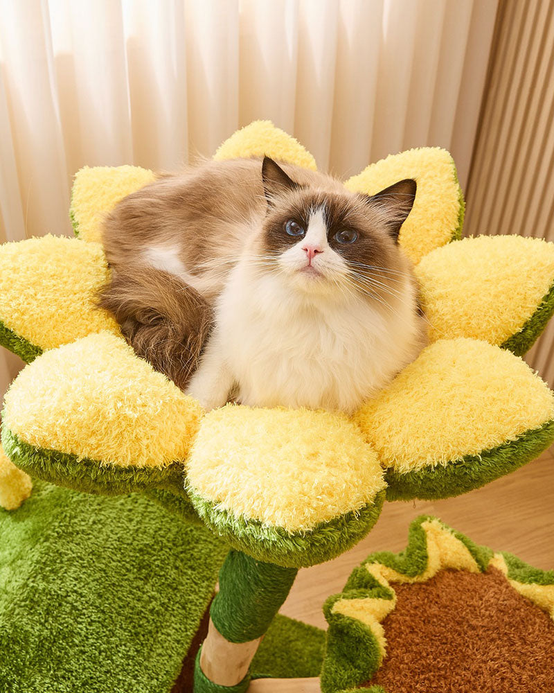 Sunny Bloom Cat Tree House