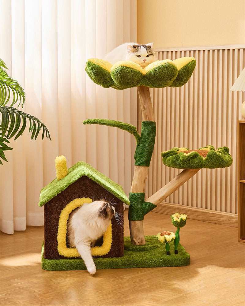 Sunny Bloom Cat Tree House