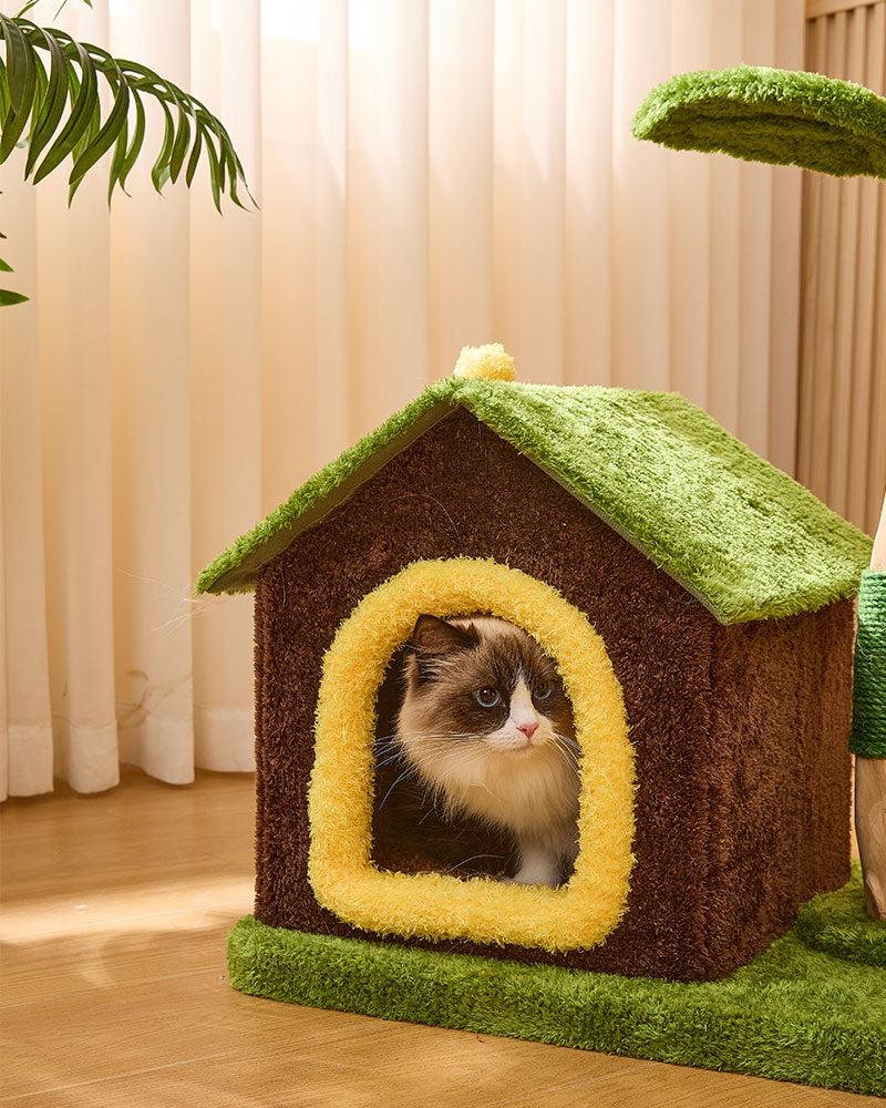 Sunny Bloom Cat Tree House