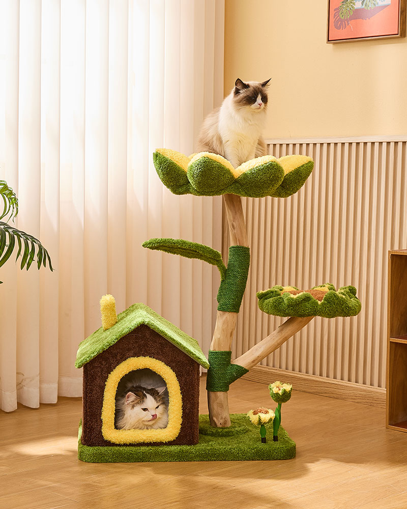 Sunny Bloom Cat Tree House
