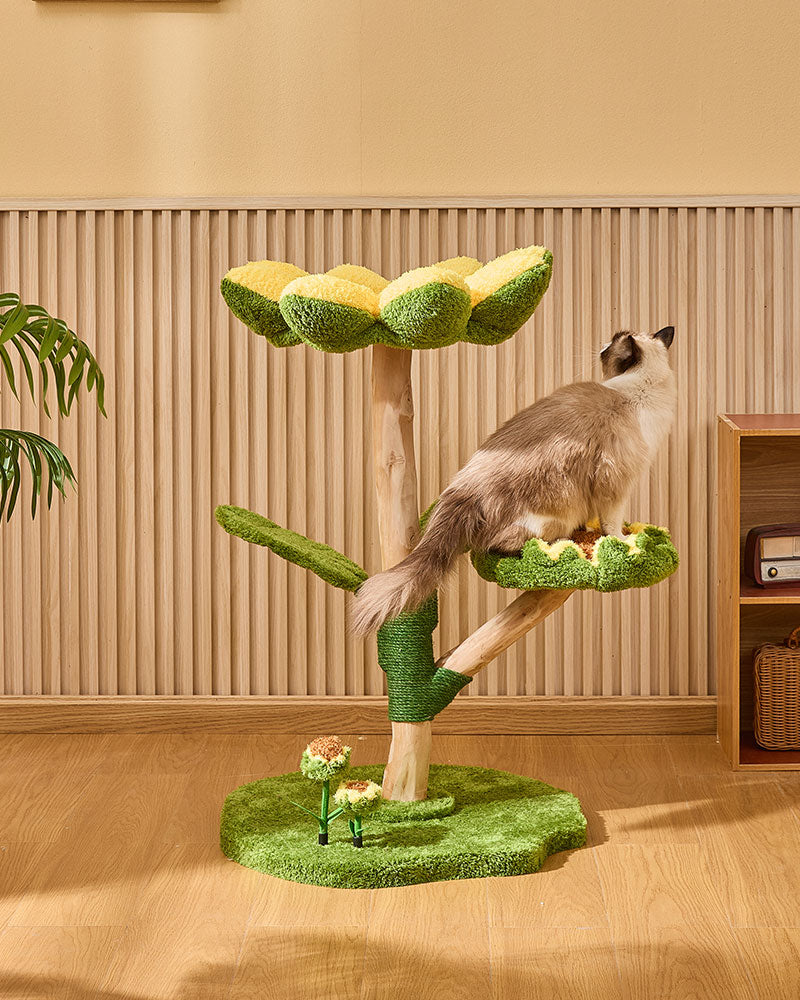 Sunny Bloom Cat Tree House