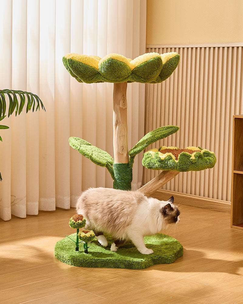 Sunny Bloom Cat Tree House