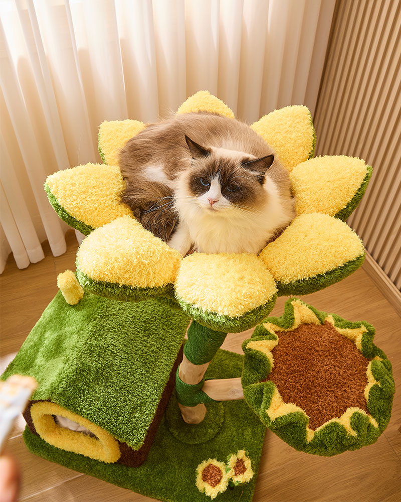Sunny Bloom Cat Tree House