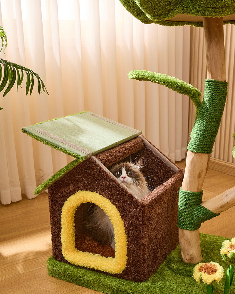 Sunny Bloom Cat Tree House