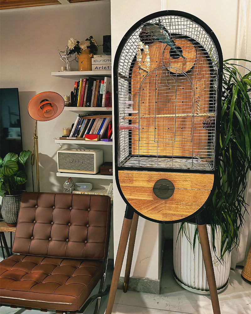 Time Capsule Parrot Cage Bird Villa