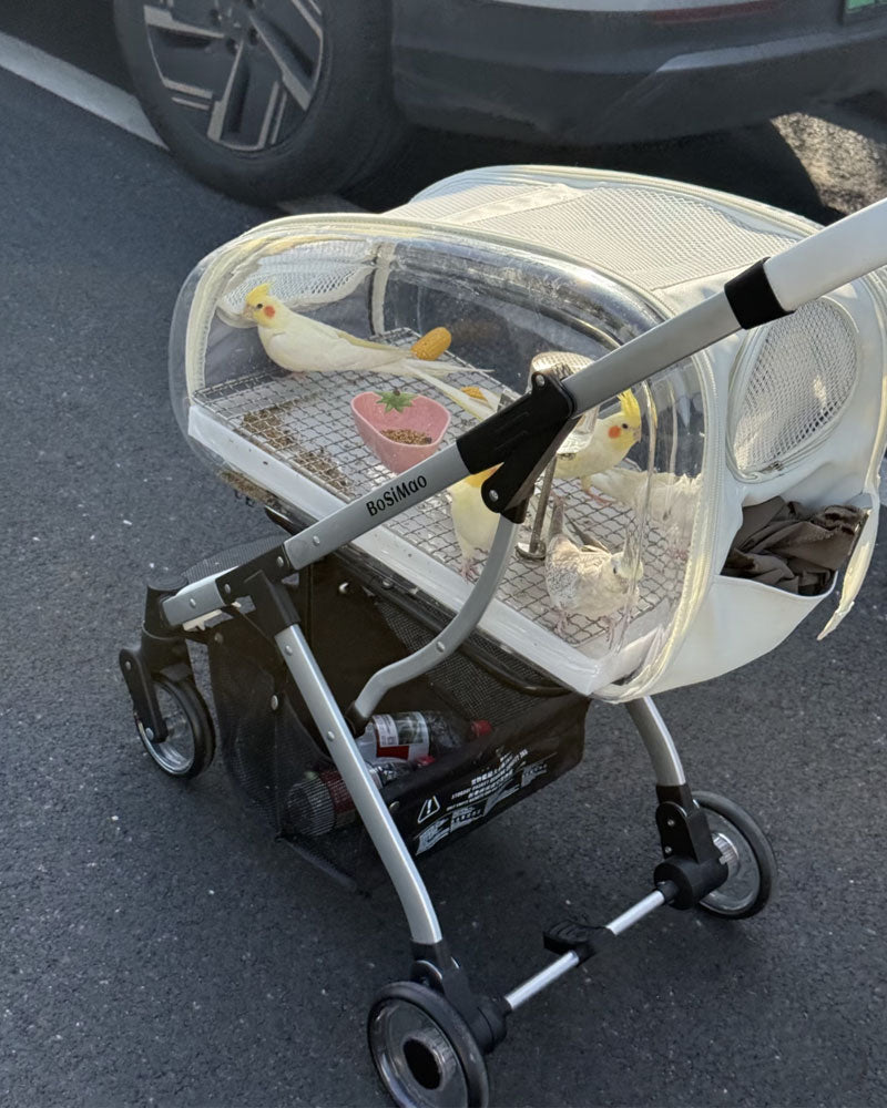 Transparent Parrot Stroller Pet Bird Carrier with Wheels
