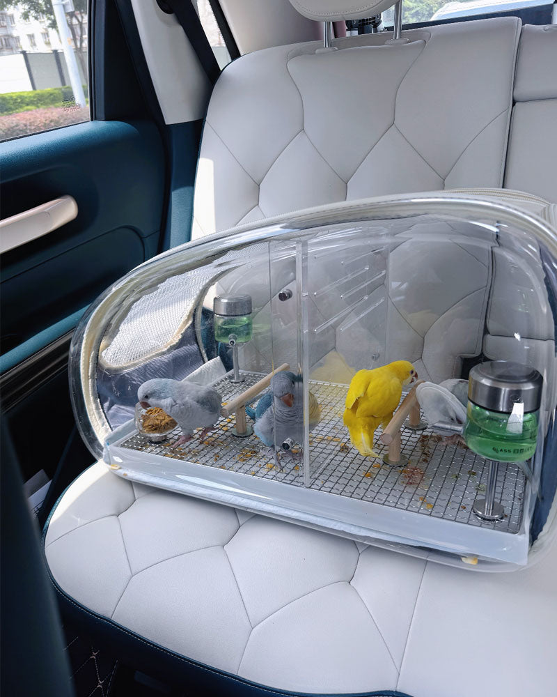 Transparent Parrot Stroller Pet Bird Carrier with Wheels