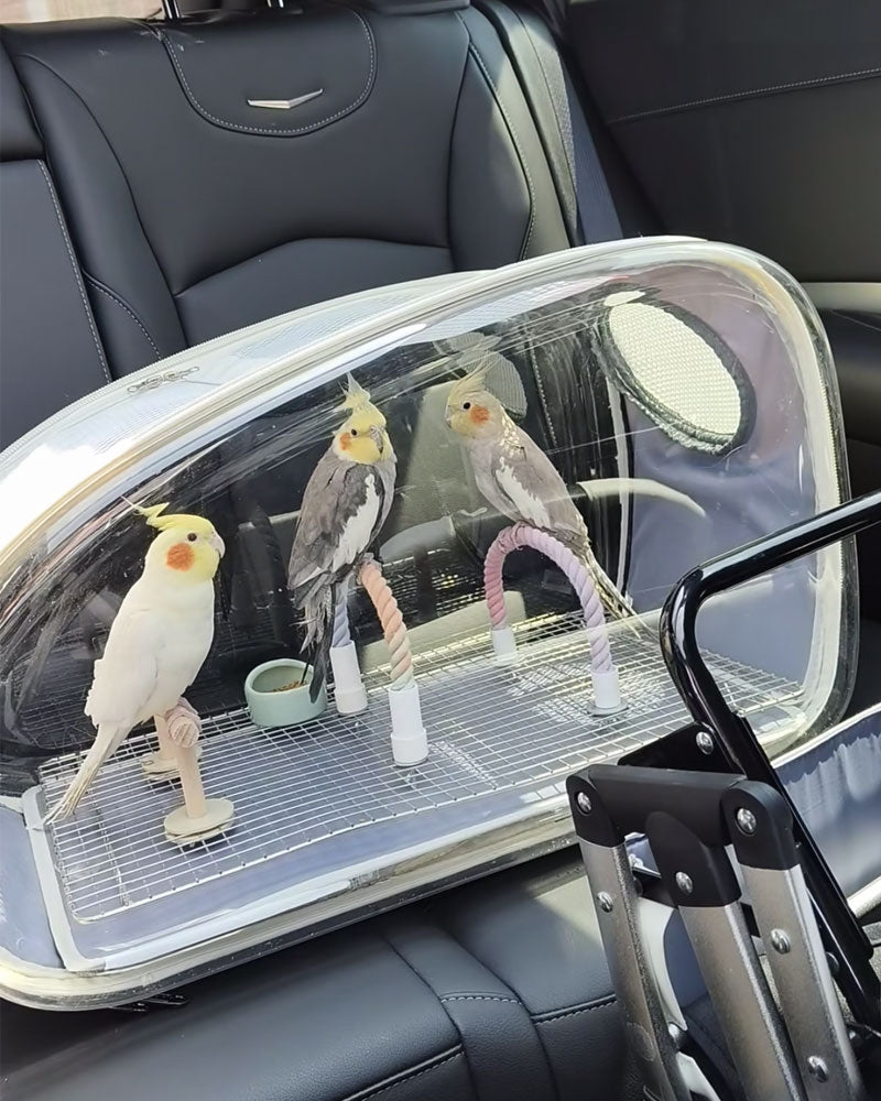 Transparent Parrot Stroller Pet Bird Carrier with Wheels