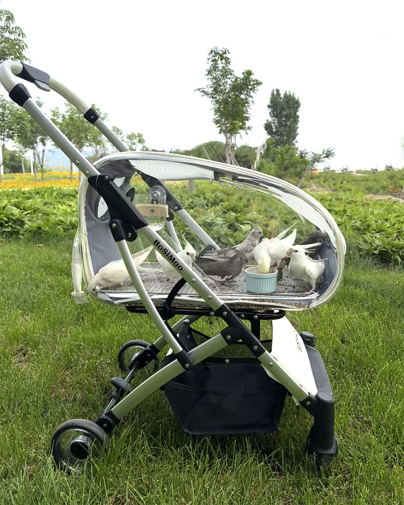 Transparent Parrot Stroller Pet Bird Carrier with Wheels