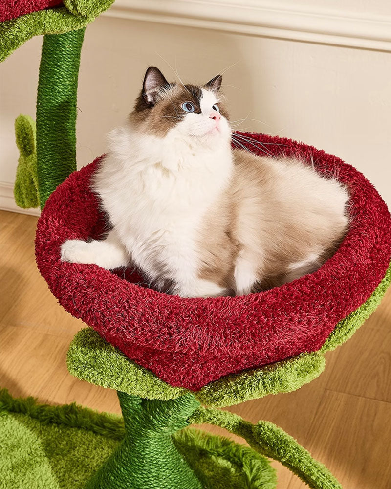 Two-Headed Venus Flytrap Cat Tree
