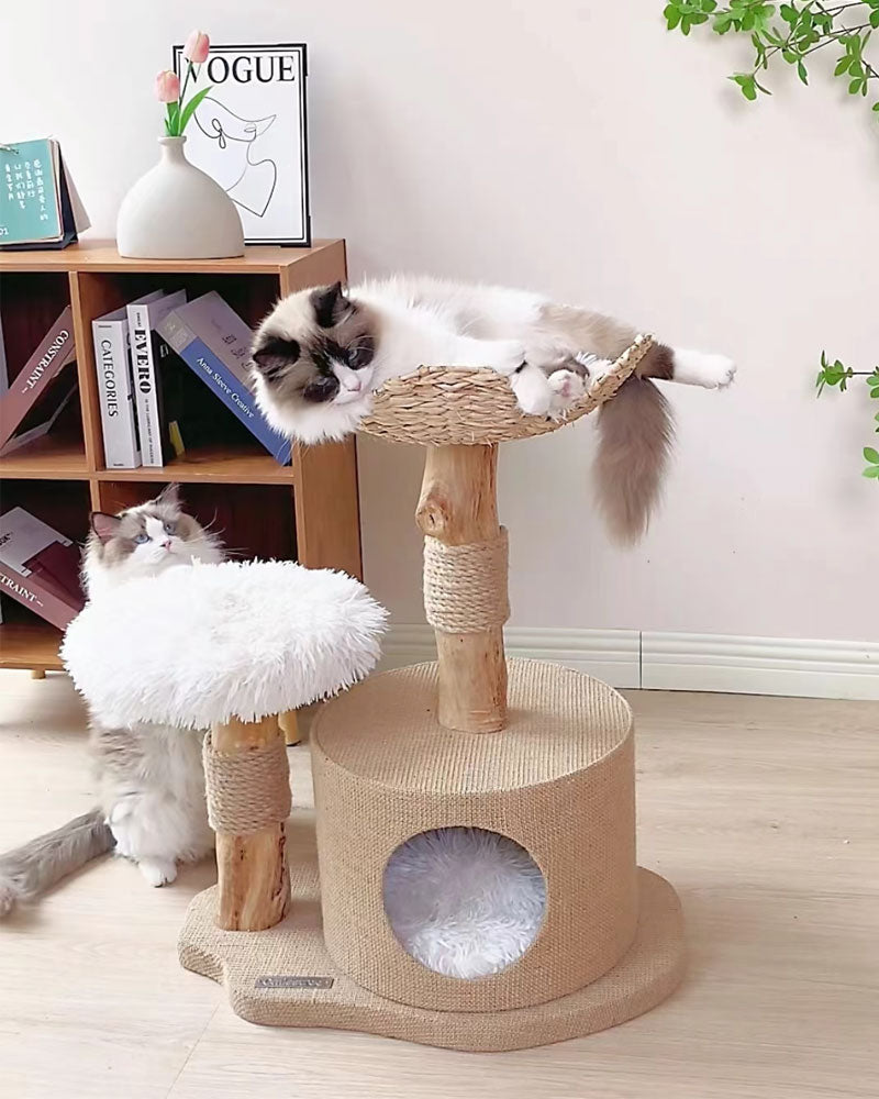 Wood Cat Tree Bed with Woven Grass