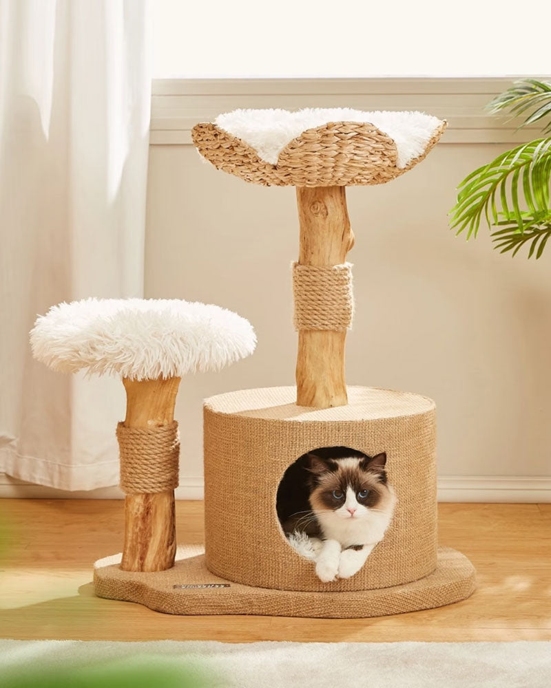 Wood Cat Tree Bed with Woven Grass