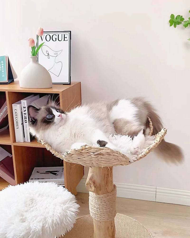 Wood Cat Tree Bed with Woven Grass
